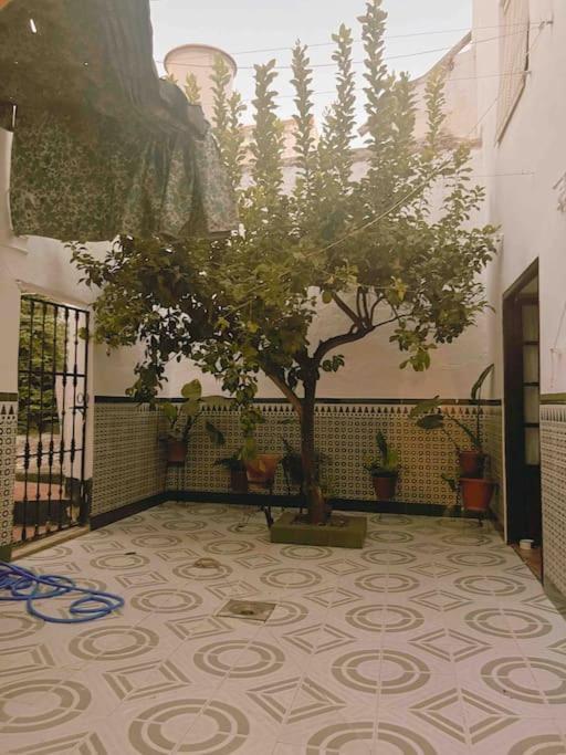 Villa La Casa De Manolita Baena Esterno foto